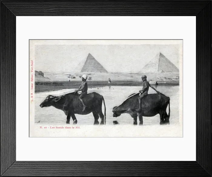 Framed Print : insertcaption Date: circa 1920s Framed Print : insertcaption Date: circa 1920s