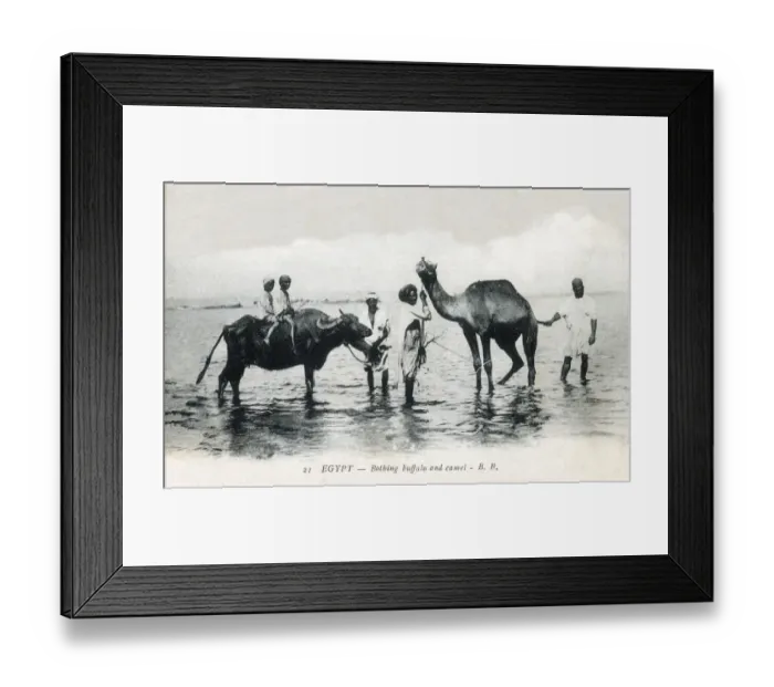 Framed Print : insertcaption Date: circa 1920s Framed Print : insertcaption Date: circa 1920s