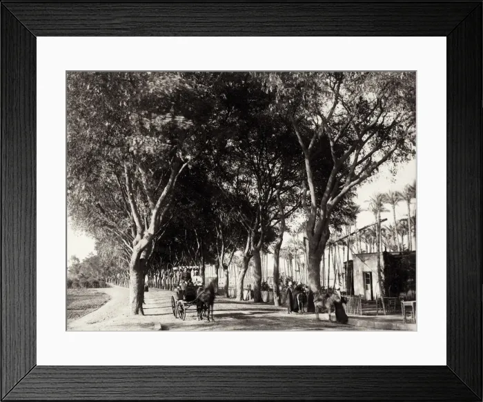 Framed Print : Road to the pyramids, Cairo, Egypt, horse & hackney carriage Framed Print : Road to the pyramids, Cairo, Egypt, horse & hackney carriage