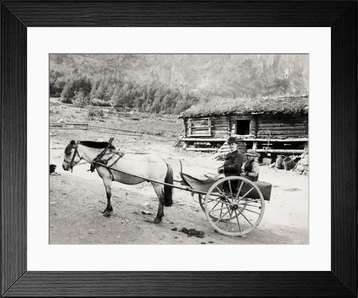 Framed Print : Valders, Norway, pony and trap Framed Print : Valders, Norway, pony and trap