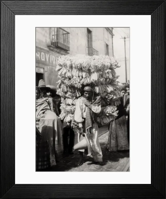 Framed Print : Porter carrying corn husks for Tamales, Mexico Framed Print : Porter carrying corn husks for Tamales, Mexico