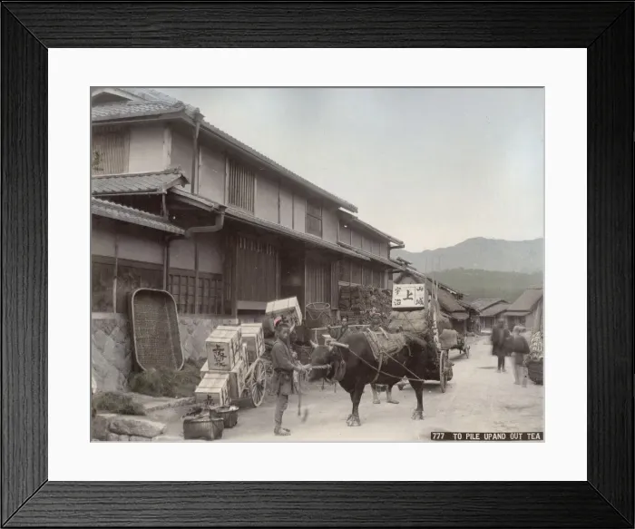 Framed Print : Transporting boxes of tea by ox cart, Japan Framed Print : Transporting boxes of tea by ox cart, Japan