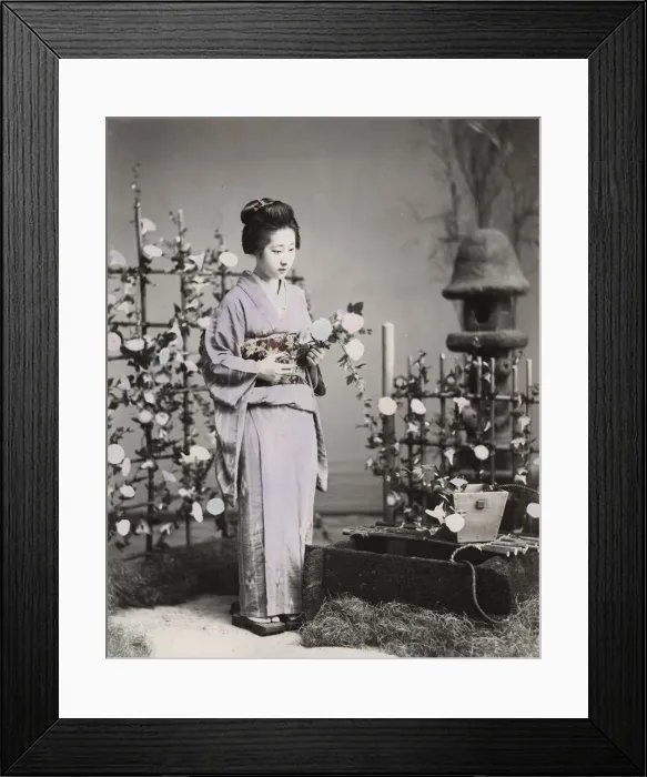 Framed Print : Geisha arranging flowers, Japan Framed Print : Geisha arranging flowers, Japan