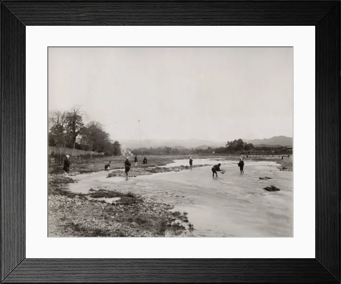Framed Print : Fishing in the Kamogawa river, Kyoto, Japan Framed Print : Fishing in the Kamogawa river, Kyoto, Japan