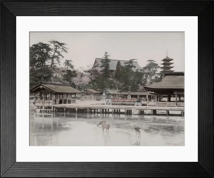 Framed Print : Itsukushima Shrine, miyajima Aki, Japan Framed Print : Itsukushima Shrine, miyajima Aki, Japan