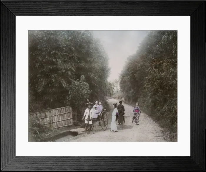 Framed Print : Bamboo grove at Negishi, Yokohama, Japan Framed Print : Bamboo grove at Negishi, Yokohama, Japan