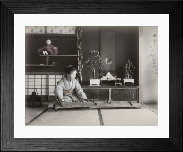 Framed Print : Woman playing koto stringed musical instrument, Japan Framed Print : Woman playing koto stringed musical instrument, Japan