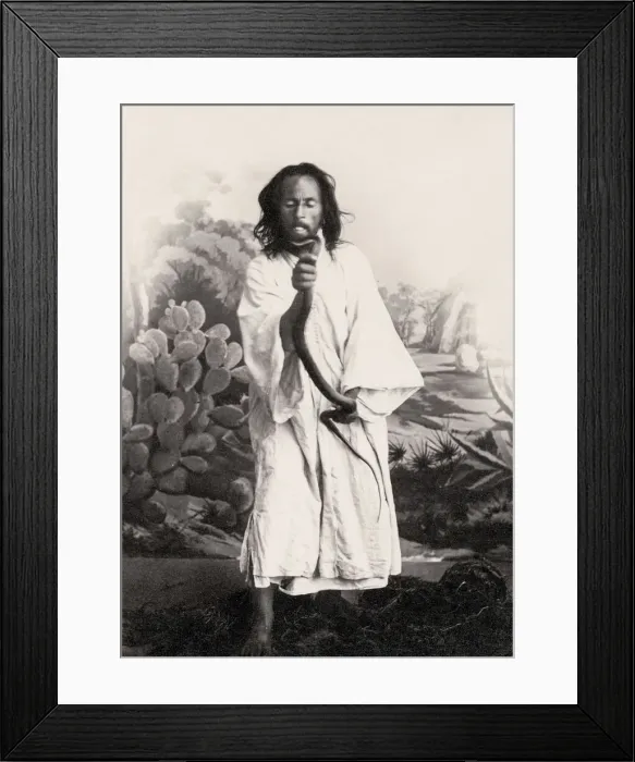 Framed Print : Snake charmer, Tangier, Morocco Framed Print : Snake charmer, Tangier, Morocco
