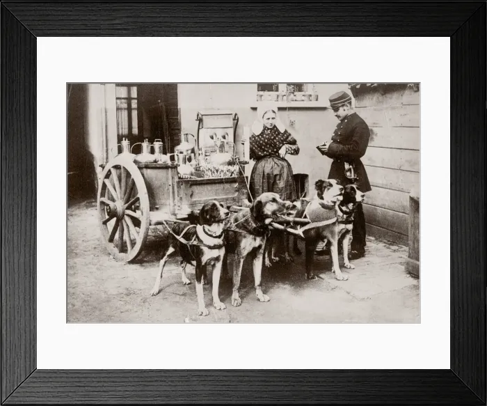 Framed Print : c. 1890 Belgium - milk maid, dog cart, policeman