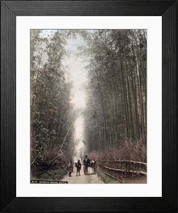 Framed Print : c. 1880s Japan - bamboo grove Framed Print : c. 1880s Japan - bamboo grove
