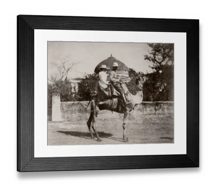 Framed Print : c. 1880s india - English man and woman on camel Framed Print : c. 1880s india - English man and woman on camel