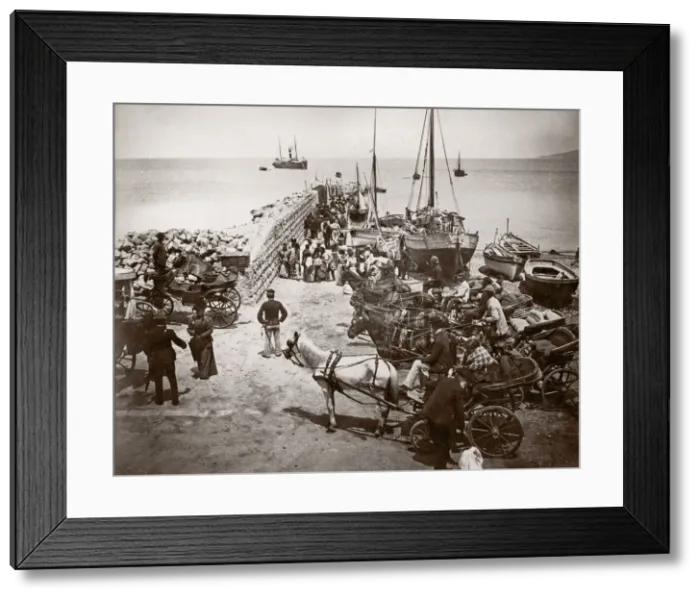 Framed Print : c. 1880s Italy - harbour scene, hackney carriages - Naples Framed Print : c. 1880s Italy - harbour scene, hackney carriages - Naples
