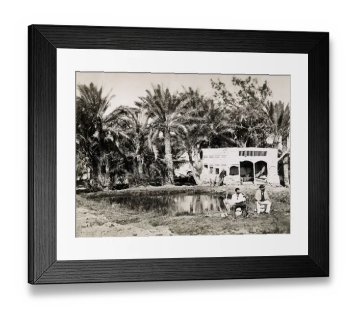 Framed Print : Ayun Musa, The Wells of Moses, Palestine, Holy Land Framed Print : Ayun Musa, The Wells of Moses, Palestine, Holy Land