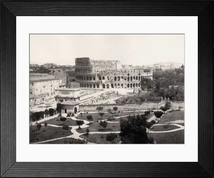 Framed Print : View of the Colosseum in Rome Italy Framed Print : View of the Colosseum in Rome Italy