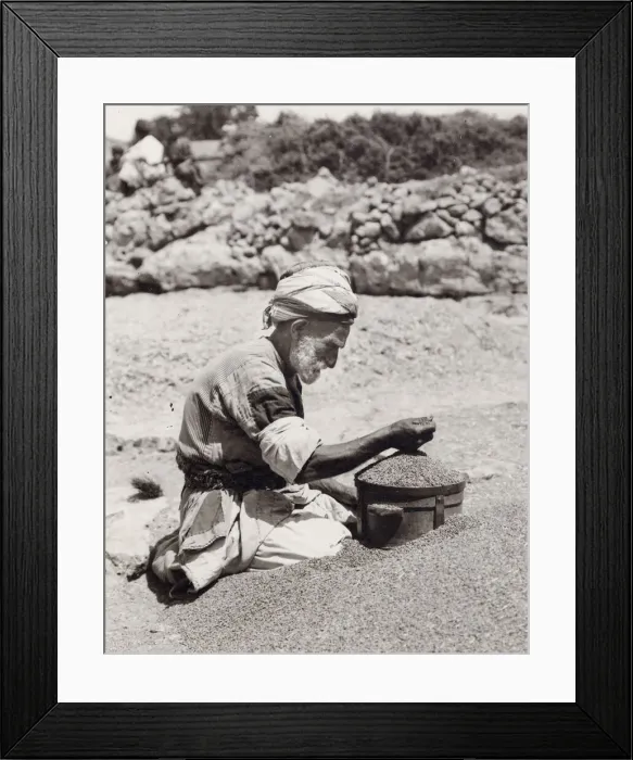 Framed Print : Old man measuring wheat Palestine, Israel, Holy Land Framed Print : Old man measuring wheat Palestine, Israel, Holy Land