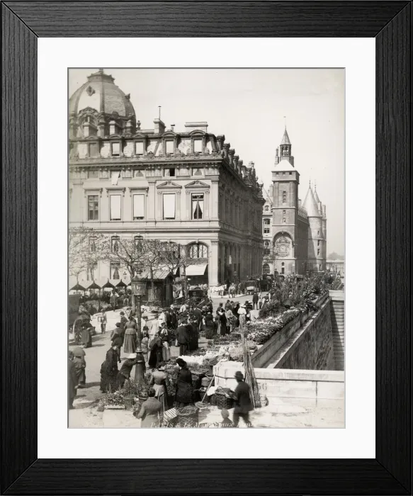 Framed Print : Flower market in Paris along bank of the River Seine Framed Print : Flower market in Paris along bank of the River Seine