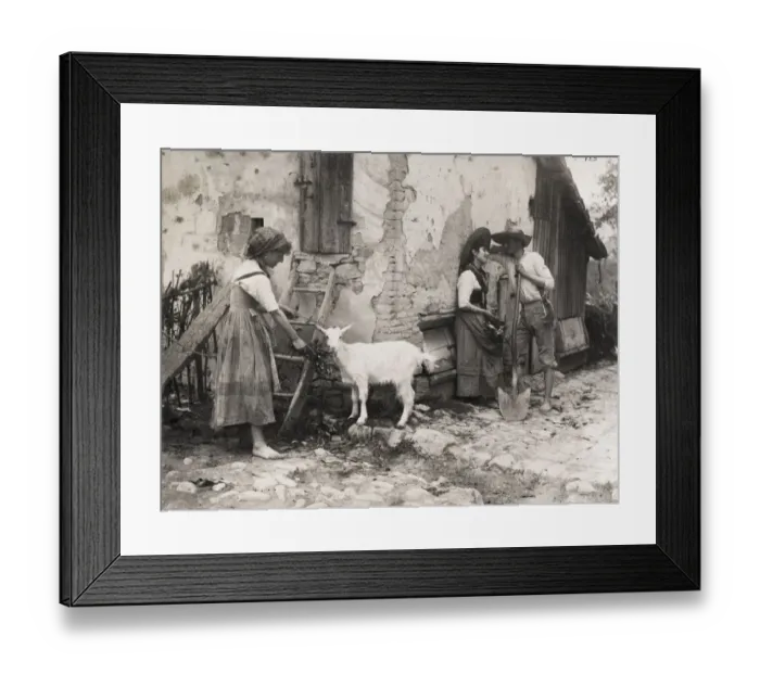 Framed Print : Rural scene, Italy - young amorous couple, girl feeding goat Framed Print : Rural scene, Italy - young amorous couple, girl feeding goat
