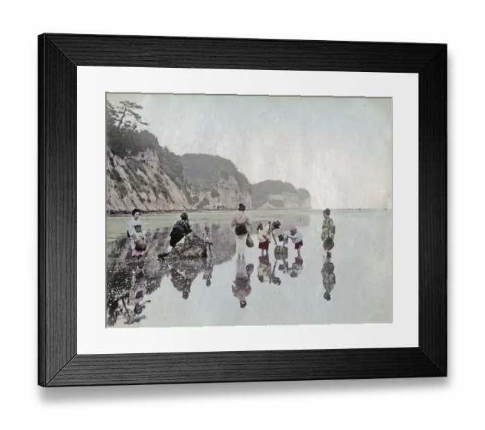 Framed Print : c. 1880s Japan - picking shellfish on the shore Framed Print : c. 1880s Japan - picking shellfish on the shore