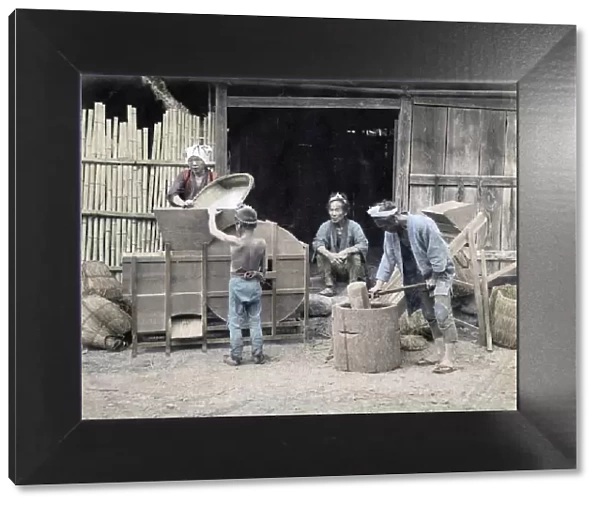 c. 1880s Japan - cleaning and pounding rice