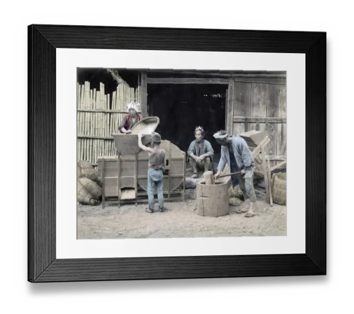 Framed Print : c. 1880s Japan - cleaning and pounding rice Framed Print : c. 1880s Japan - cleaning and pounding rice