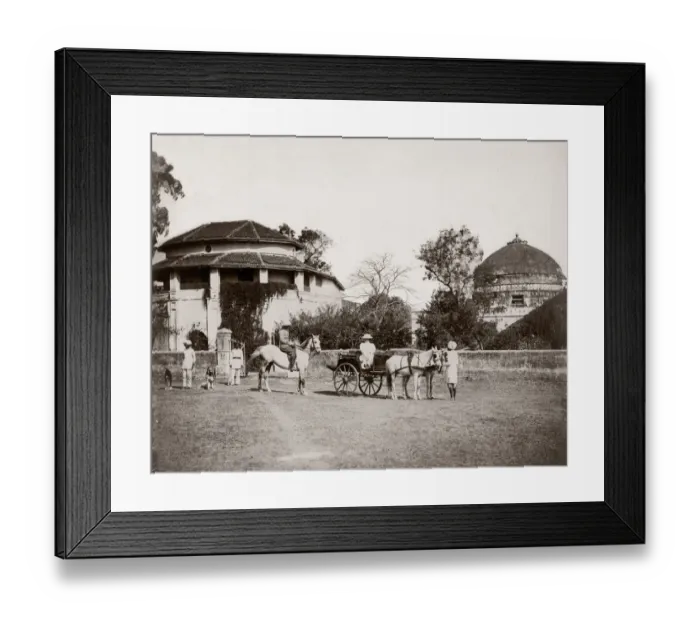 Framed Print : c. 1880s India - European couple with pony and trap, horse an Framed Print : c. 1880s India - European couple with pony and trap, horse an
