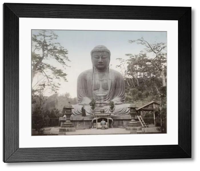 Framed Print : Daibutsu, statue of Buddha, Kamakura, Japan Framed Print : Daibutsu, statue of Buddha, Kamakura, Japan