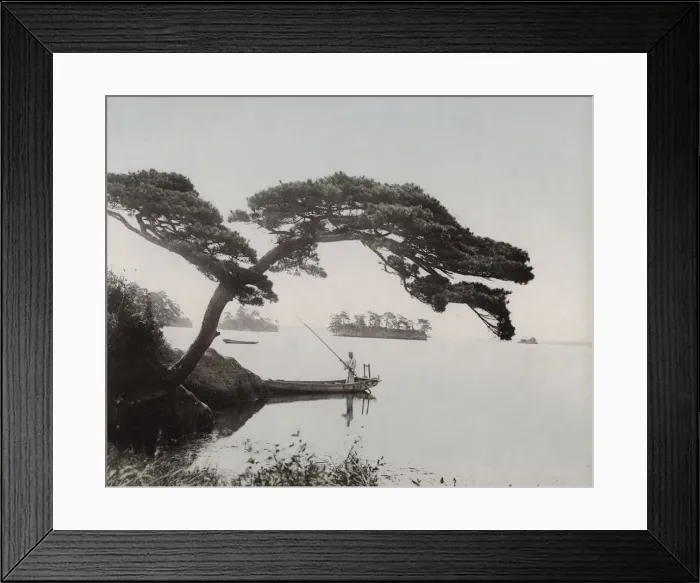 Framed Print : Boatman on a lake under a sweeping tree, Japan Framed Print : Boatman on a lake under a sweeping tree, Japan