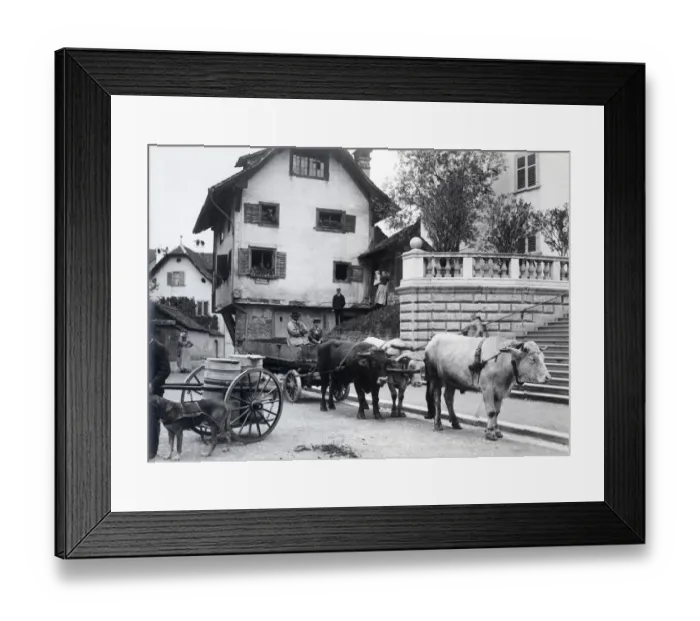 Framed Print : Switzerland - milk cart and ox cart Framed Print : Switzerland - milk cart and ox cart