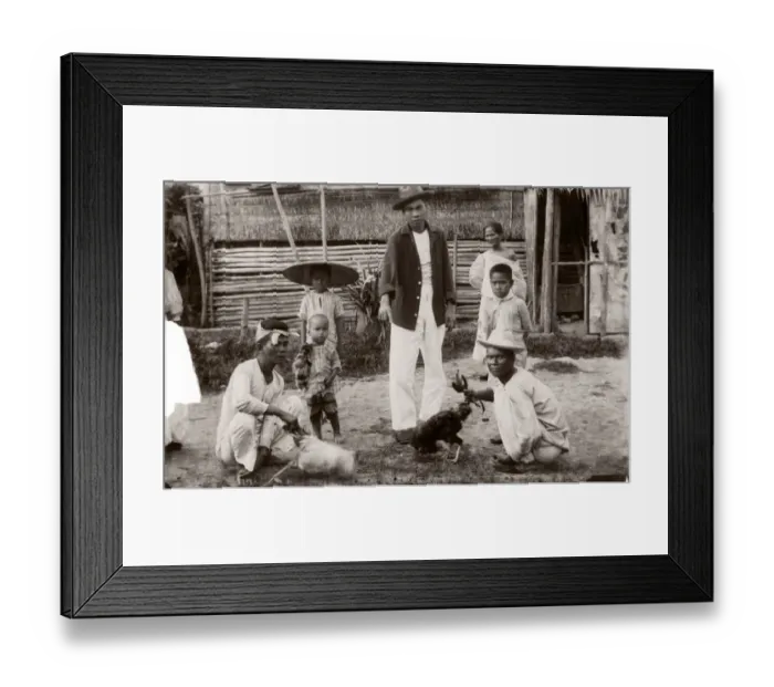 Framed Print : c. 1880s South East Asia - Philippines - cock fighting Framed Print : c. 1880s South East Asia - Philippines - cock fighting