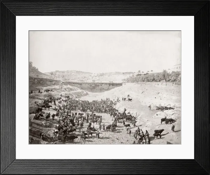 Framed Print : Cattle market, Lower Pool of Gihon, (Siloam) Jerusalem Framed Print : Cattle market, Lower Pool of Gihon, (Siloam) Jerusalem