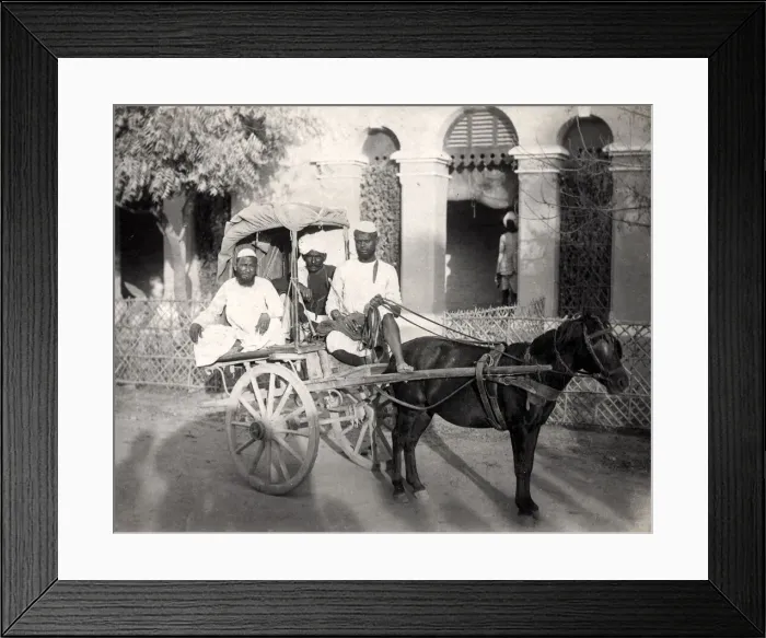 Framed Print : A pony carriage, hackney, India Framed Print : A pony carriage, hackney, India