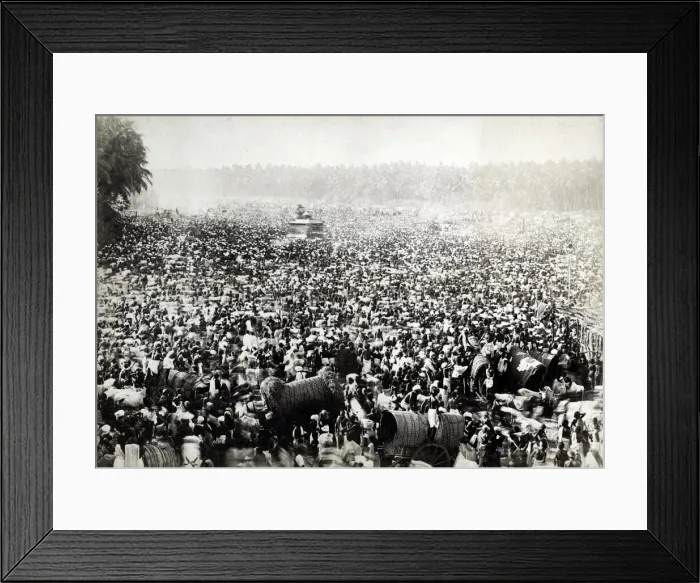 Framed Print : Huge crowd, ceremony, India or Ceylon, Sri Lanka Framed Print : Huge crowd, ceremony, India or Ceylon, Sri Lanka
