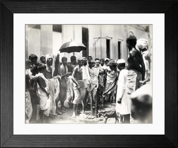 Framed Print : Animal slaughter, young goat, watching crowd, India Framed Print : Animal slaughter, young goat, watching crowd, India