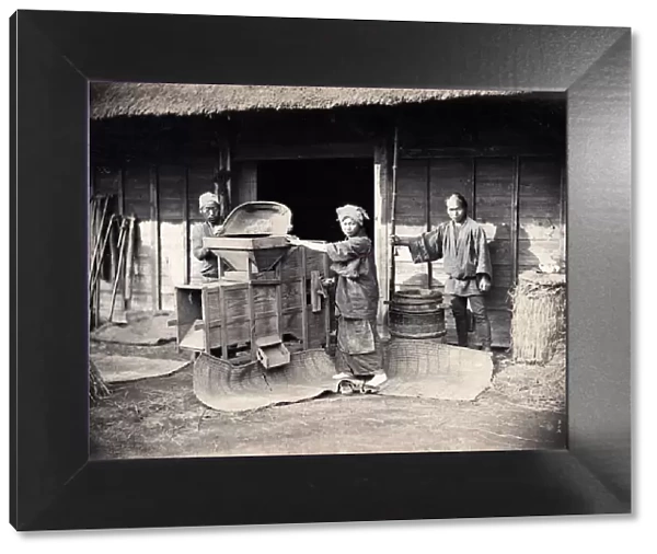 Winnowing or cleaning tea or grain with fans, Japan