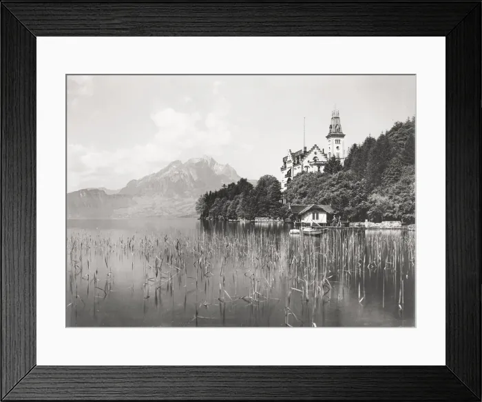 Framed Print : Village of Hertenstein, Lake Lucerne Switzerland Framed Print : Village of Hertenstein, Lake Lucerne Switzerland