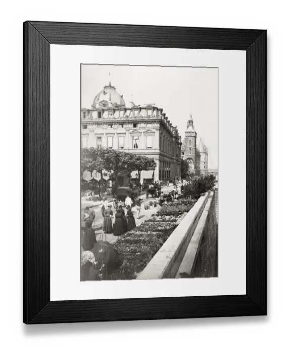 Framed Print : Flower market, bank of the River Seine, Paris, France Framed Print : Flower market, bank of the River Seine, Paris, France