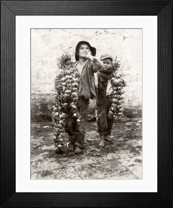 Framed Print : c. 1880s Italy - Italy, probably Sicily street vendors, boys Framed Print : c. 1880s Italy - Italy, probably Sicily street vendors, boys