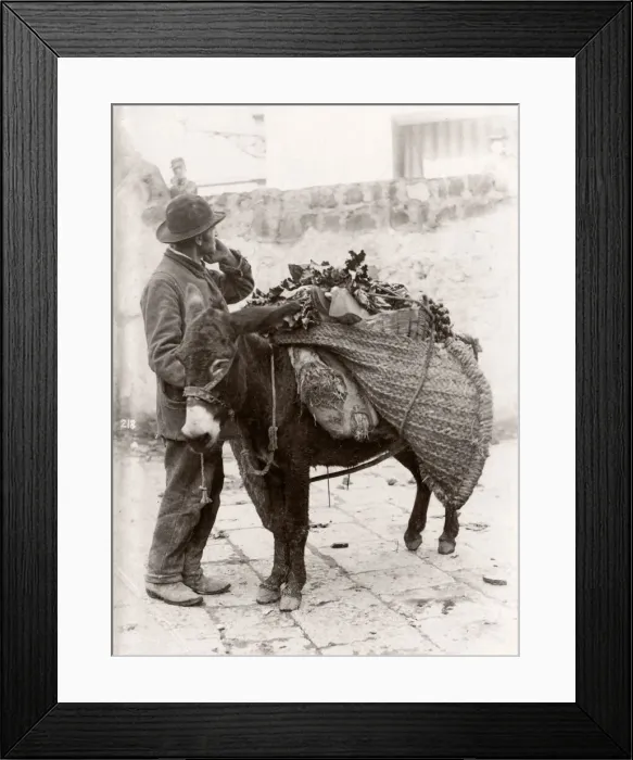 Framed Print : c. 1880s Italy - Italy, probably Sicily street vendor and don Framed Print : c. 1880s Italy - Italy, probably Sicily street vendor and don