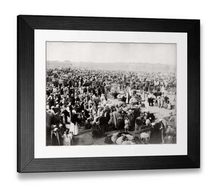 Framed Print : c. 1890s Egypt - sheep market - by JP Sebah Framed Print : c. 1890s Egypt - sheep market - by JP Sebah