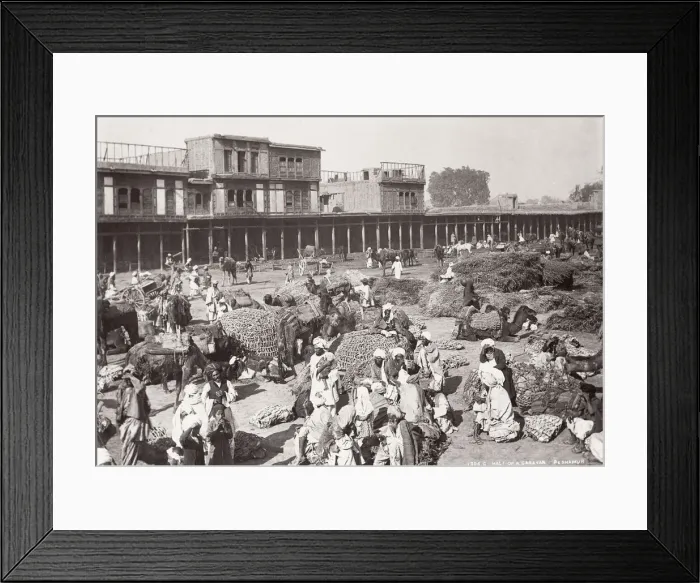 Framed Print : India - halt of a camel caravan, Peshawar, Khyber Pass Framed Print : India - halt of a camel caravan, Peshawar, Khyber Pass