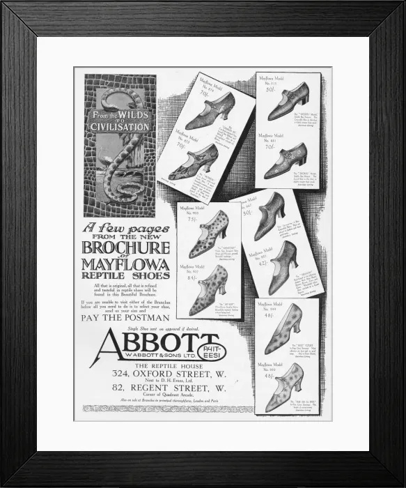 Framed Print : Advert for Mayflowa Reptile shoes for Abbott and Sons Ltd Framed Print : Advert for Mayflowa Reptile shoes for Abbott and Sons Ltd