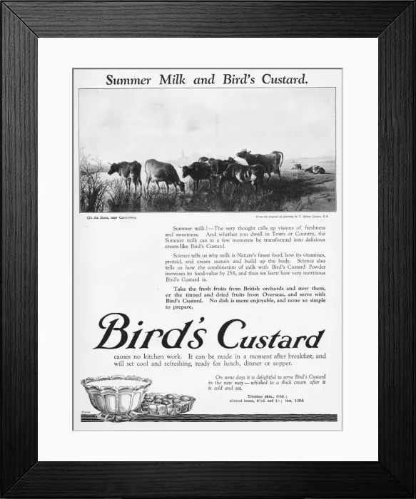 Framed Print : Advert for Birds custard, 1926 Framed Print : Advert for Birds custard, 1926