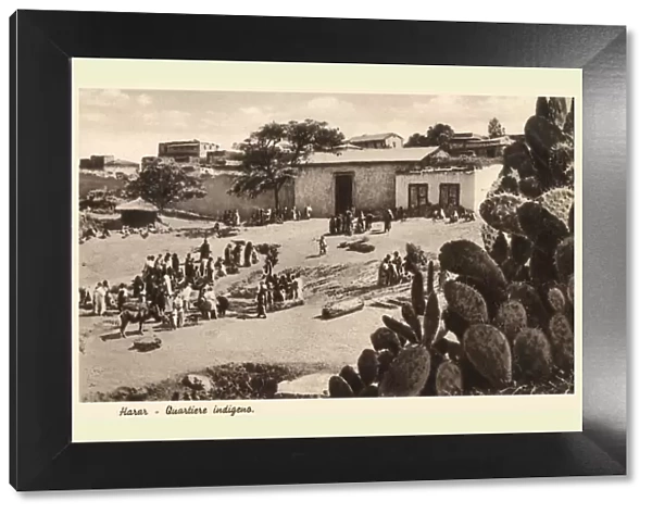 The Indigenous Quarter at Harar, Ethiopia
