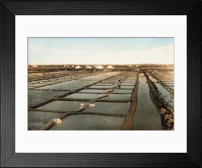 Framed Print : Salt pans, Chatelaillon-Plage near La Rochelle Framed Print : Salt pans, Chatelaillon-Plage near La Rochelle