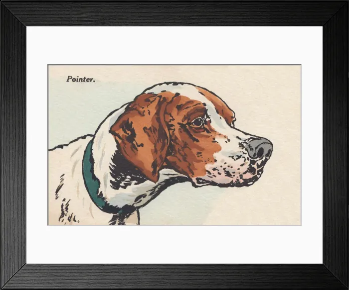 Framed Print : Head of a Dog Framed Print : Head of a Dog