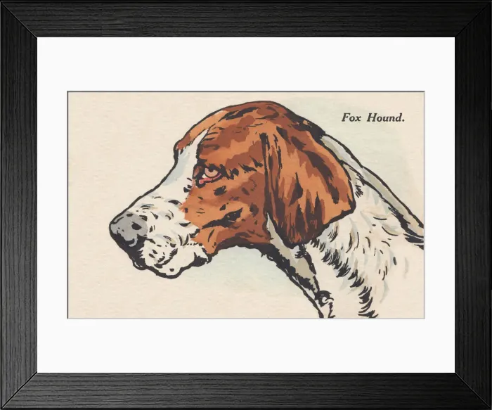 Framed Print : Head of a Dog Framed Print : Head of a Dog