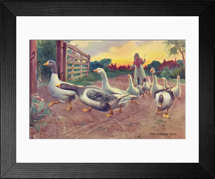 Framed Print : Flock of Geese Framed Print : Flock of Geese