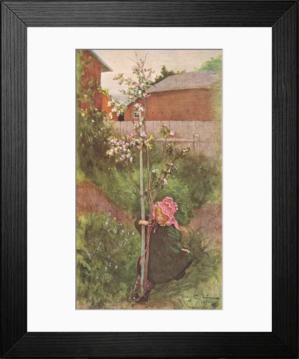 Framed Print : Carl Larsson Framed Print : Carl Larsson