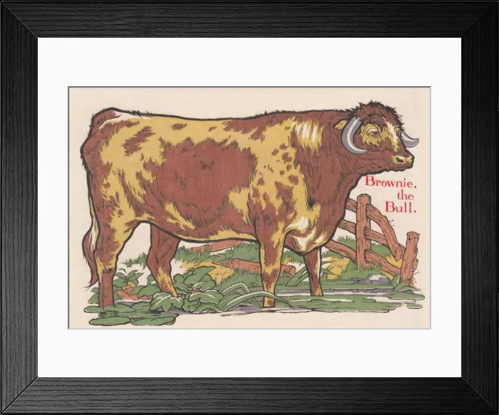 Framed Print : Bull. An image depicting a bull. Artist: Edith Berkeley Framed Print : Bull. An image depicting a bull. Artist: Edith Berkeley