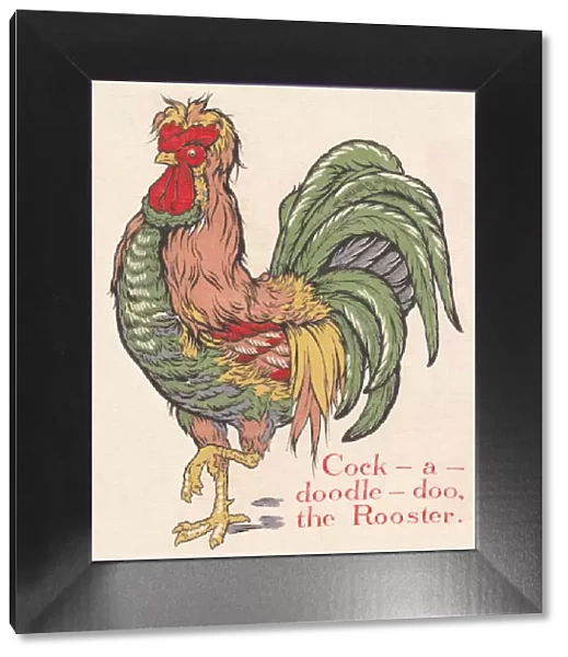 Rooster. An image depicting a rooster. Artist: Edith Berkeley